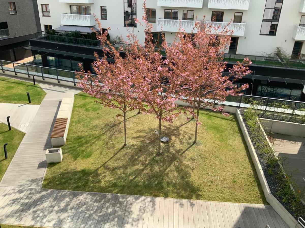 Apartment Z Kominkiem W Sercu Wroclawia Bagian luar foto